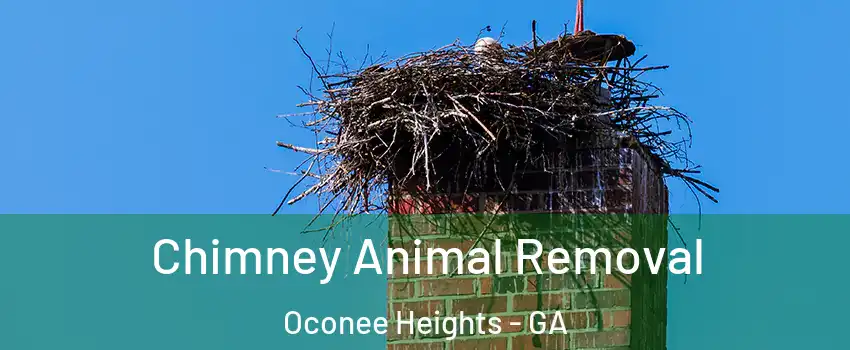 Chimney Animal Removal Oconee Heights - GA