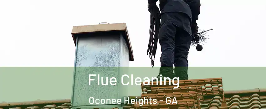 Flue Cleaning Oconee Heights - GA