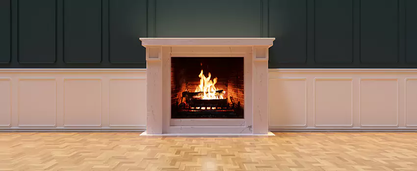 Napoleon Electric Fireplaces Inspection Service in Oconee Heights, Georgia
