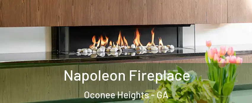 Napoleon Fireplace Oconee Heights - GA